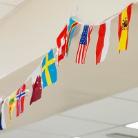 flags hanging