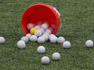 Picture of Lacrosse balls